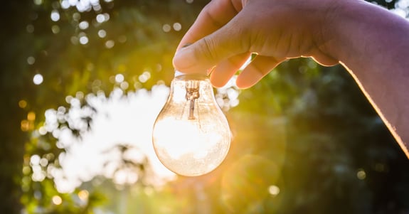 Person holds a light bulb in their hand which is lit up by the sun with trees in the background