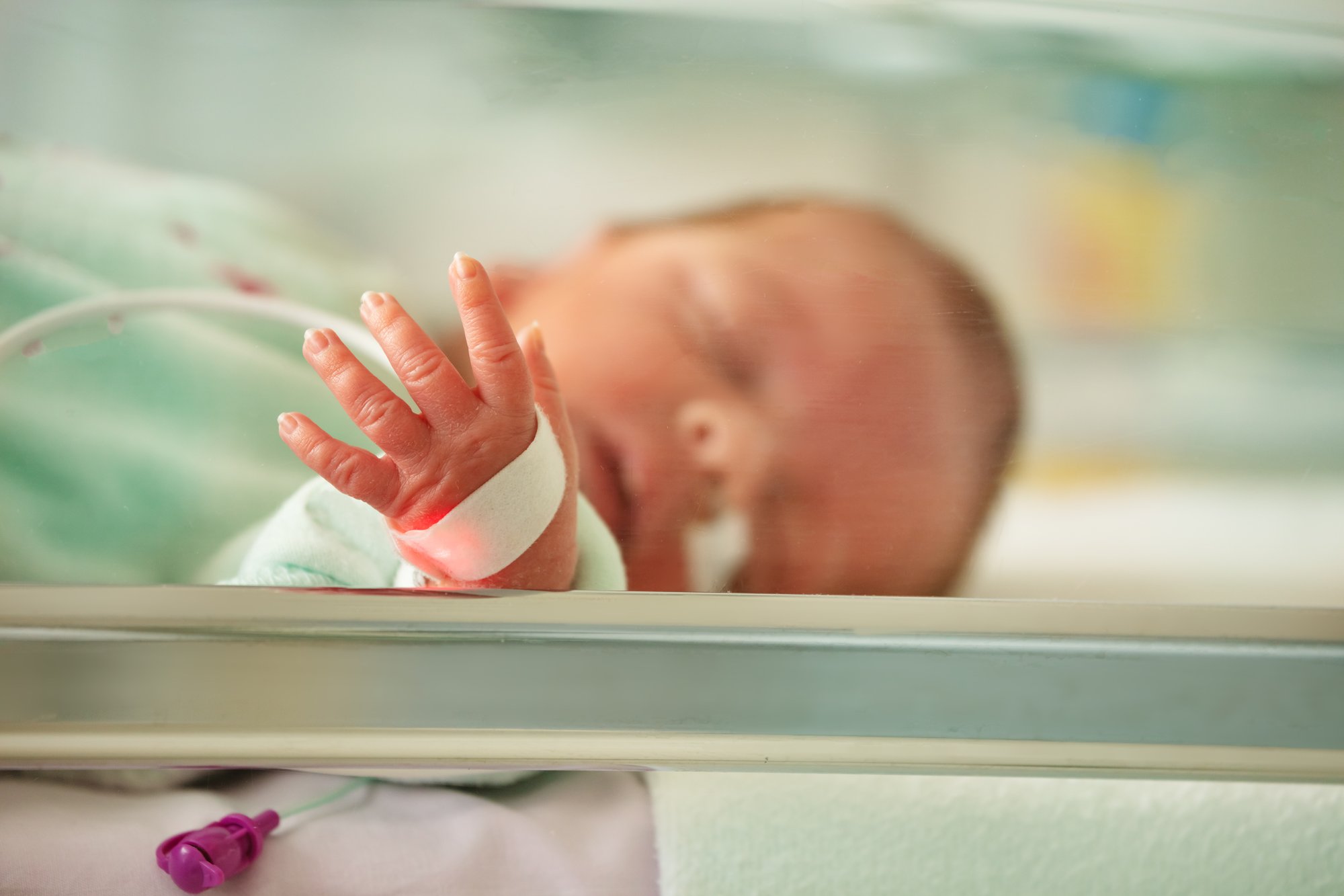 AdobeStock_273945223