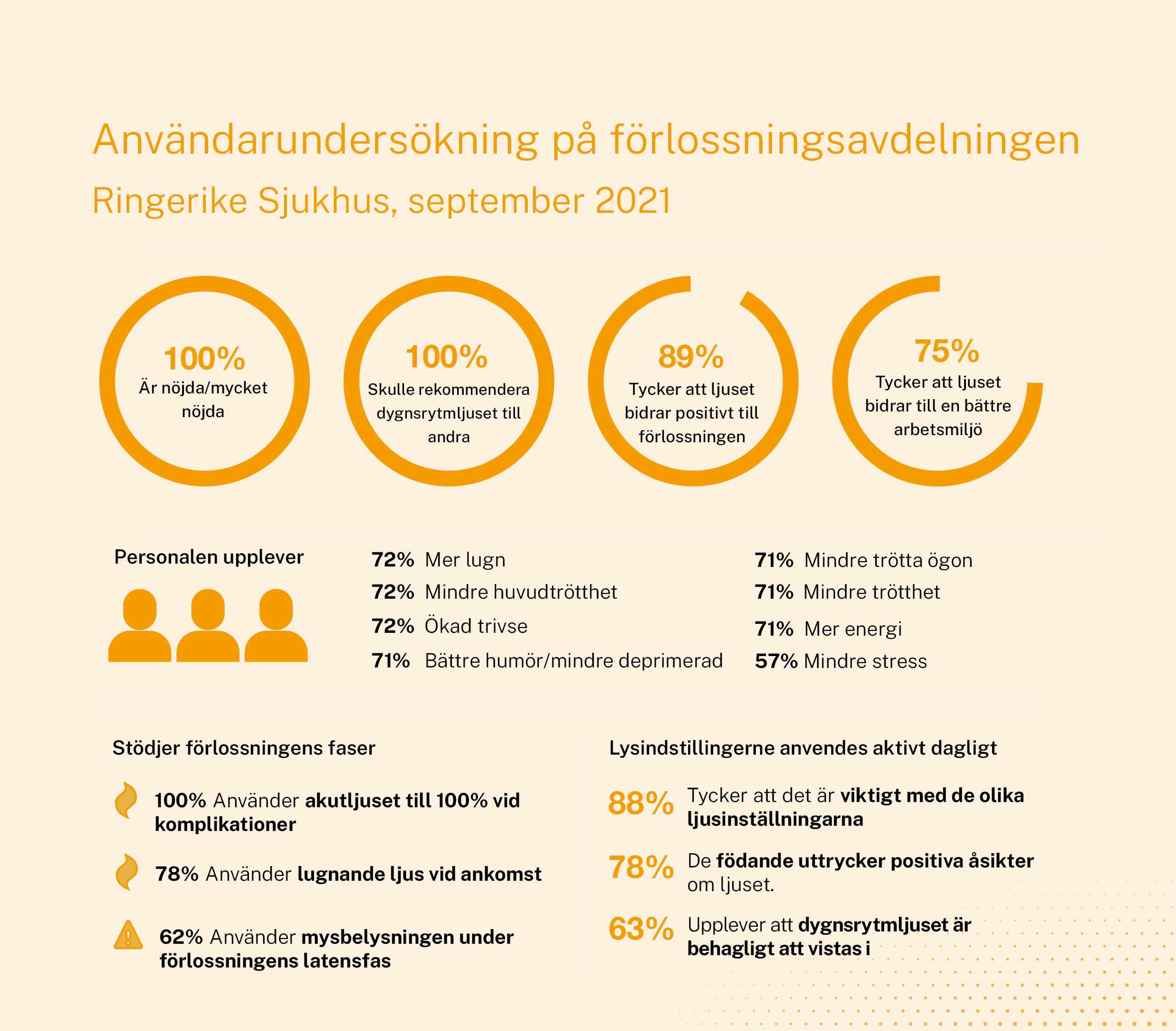 Ringerike 2023_Survey_SE