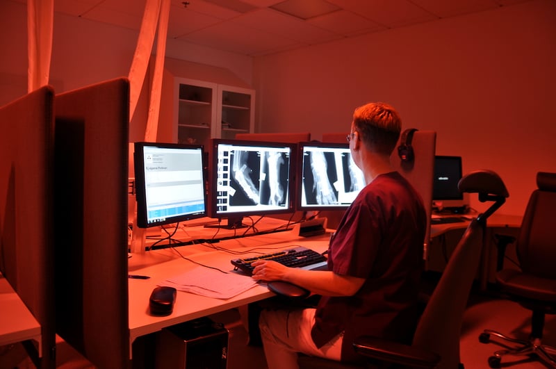 Dyrelæge undersøger røntgenbilleder i ergonomisk lys på Universitetsdjursjukhuset Uppsala
